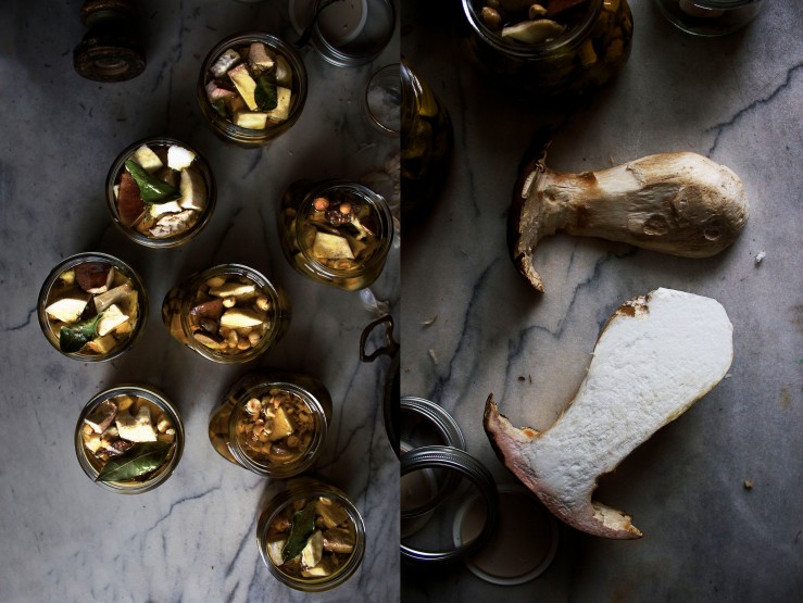 Porcini mushrooms preserved in olive oil jars | Infinite belly